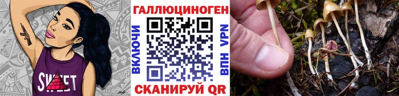 Галлюциногенные грибы MAGIC MUSHROOMS  hydra tor  Черноголовка 